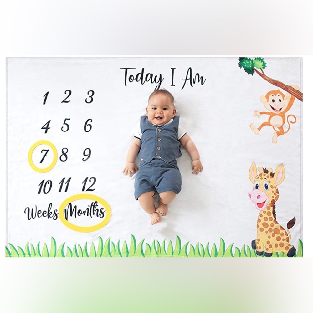 Baby Milestone Blanket